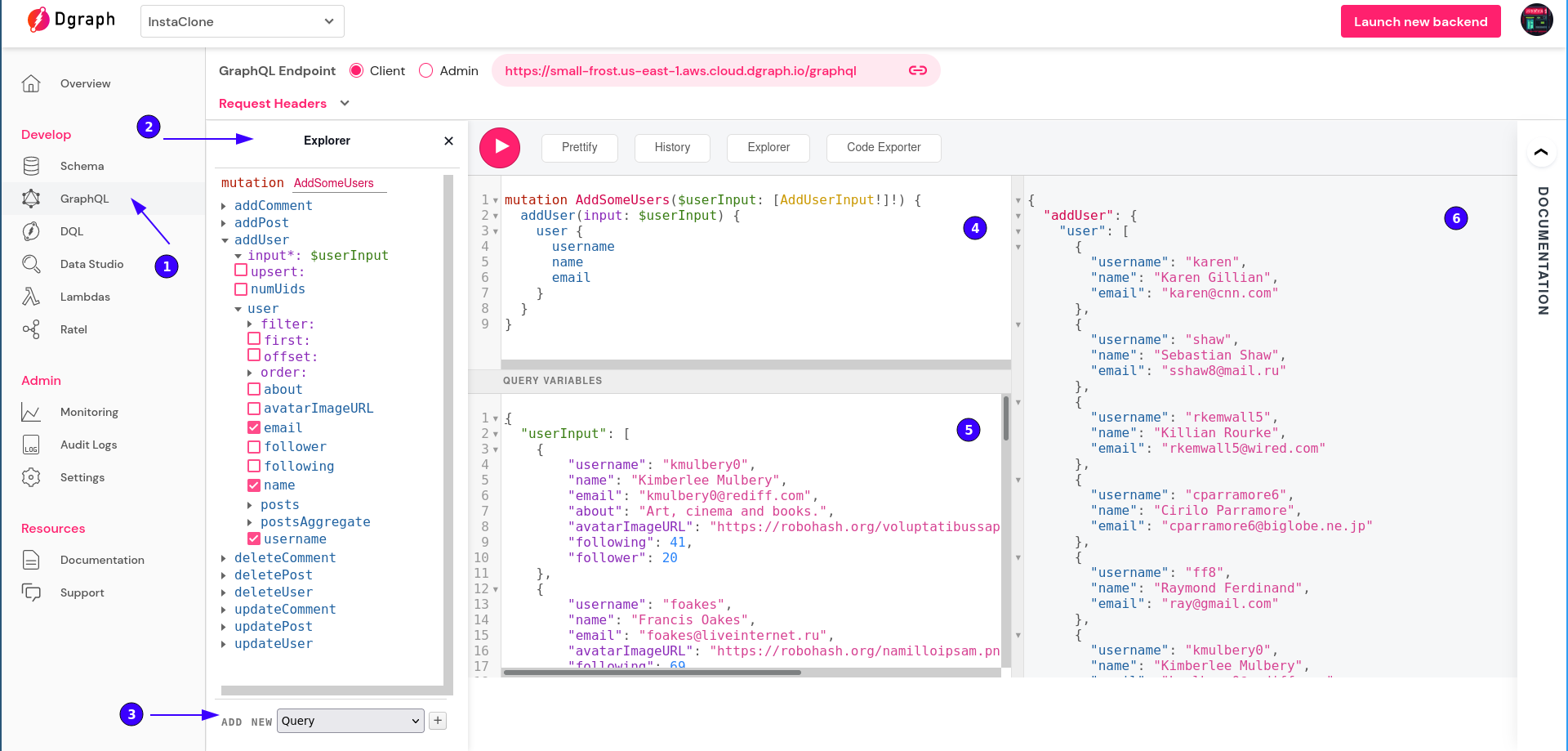 API Explorer window showing mutation request and its results